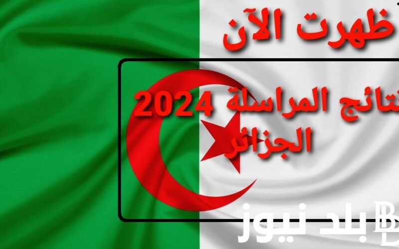 “متوفرة الان” الاستعلام عن نتائج المراسلة 2024 الجزائر في جميع الولايات عبر منصة الديوان الوطني للتعليم