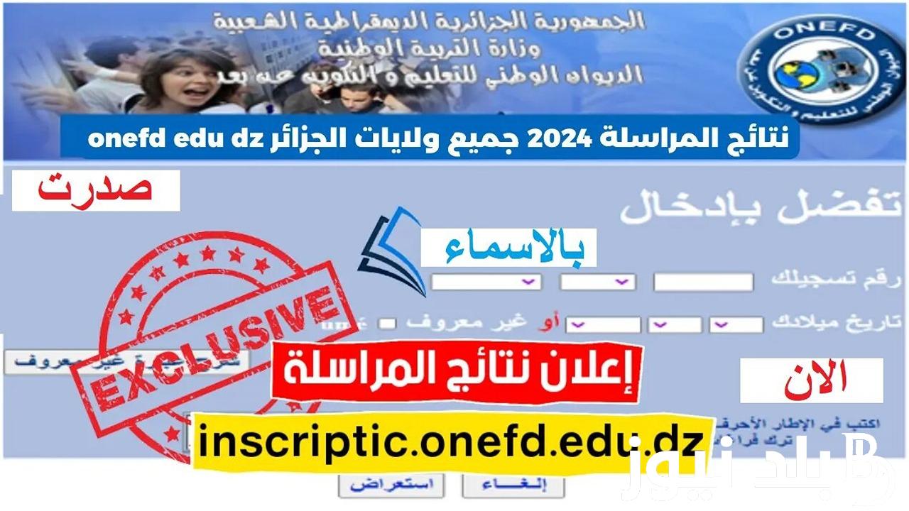 تم الرفع✓.. نتائج المراسلة 2024 حسب الولايات وخطوات الاستعلام عن نتائج المراسلة في الجزائر عبر onefd.edu.dz