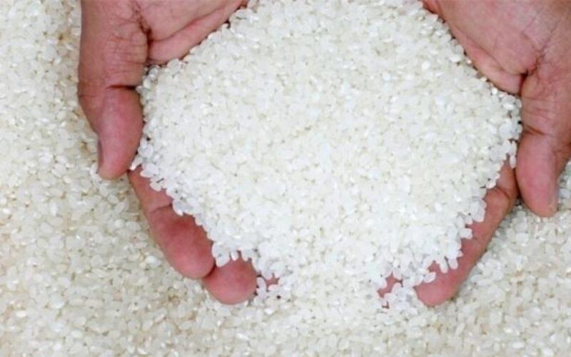 “شعير وابيض” سعر طن الأرز الشعير اليوم الاثنين 22 يوليو 2024 واسعار السلع التموينيه