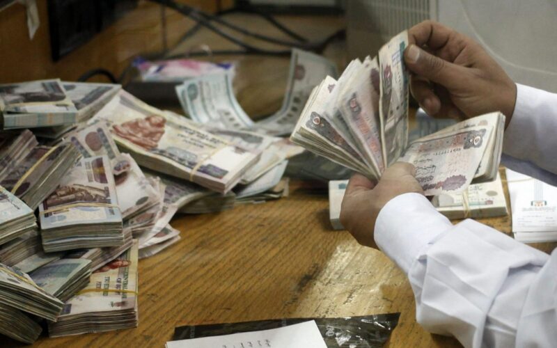 “لــ 11 مليون مواطن”.. موعد صرف معاشات شهر اغسطس 2024 في مصر وفقًا لبيان هيئة التأمينات الاجتماعية