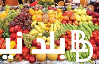 “عنب وبطيخ” أسعار الفاكهة اليوم السبت الموافق 20 يوليو 2024 للمستهلك في سوق العبور