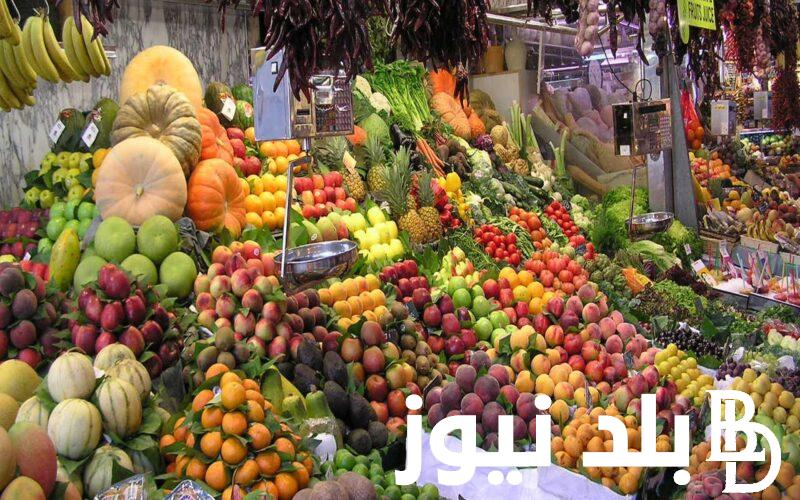 “فكهاني وبحب الفاكهة” أسعار الفاكهة اليوم في سوق العبور والخضار زي ماهو