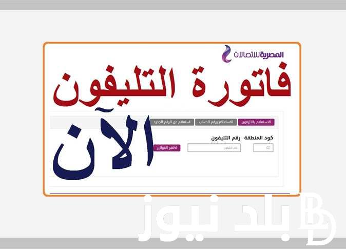 من هُنا.. طريقة دفع فاتورة التليفون الارضي 2024 من خلال موقع المصرية للإتصالات