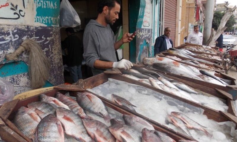 “جميع الأنواع” كم سعر السمك البلطي اليوم السبت الموافق 20 يوليو 2024 في سوق العبور
