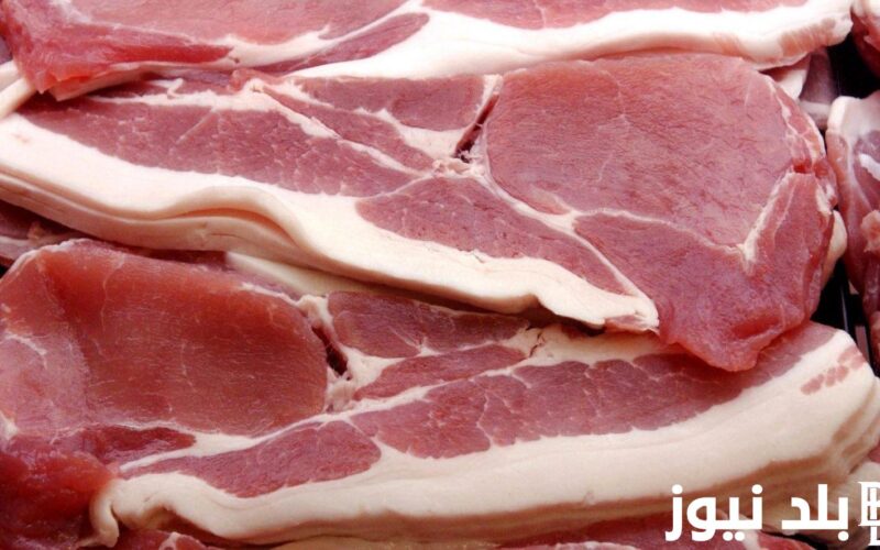 “الجملي والبلدي والضاني” اسعار اللحوم اليوم الخميس 25 يوليو 2024 في محلات الجزارة وبجميع الأسواق