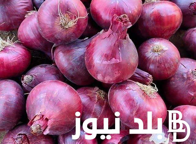 اسعار البصل اليوم من الاسواق وارض المزرعه.. اسعار الخضار والفاكهه اليوم