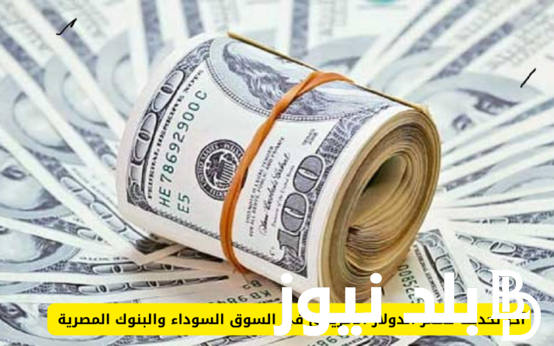 كم سعر ال 100 دولار اليوم في السوق السوداء؟.. سعر الدولار مقابل الجنية المصري اليوم السبت 20 يوليو 2024
