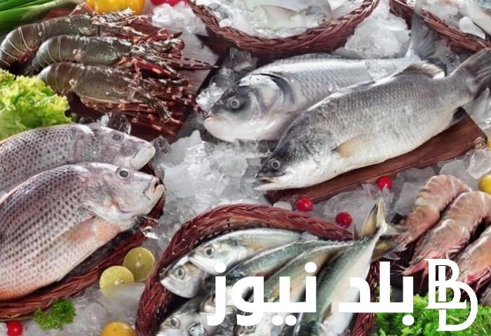 “مجمد وفريش” اسعار الاسماك اليوم في سوق العبور لتجارة الاسماك للتاجر والمستهلك