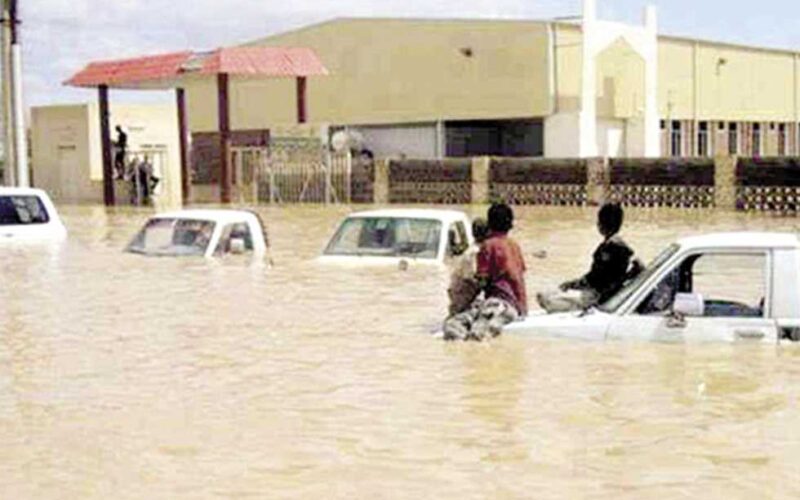 “كارثة الانهيارات” سيول السودان اليوم 2024.. 229 قتيلا بسبب انزلاق أرضي
