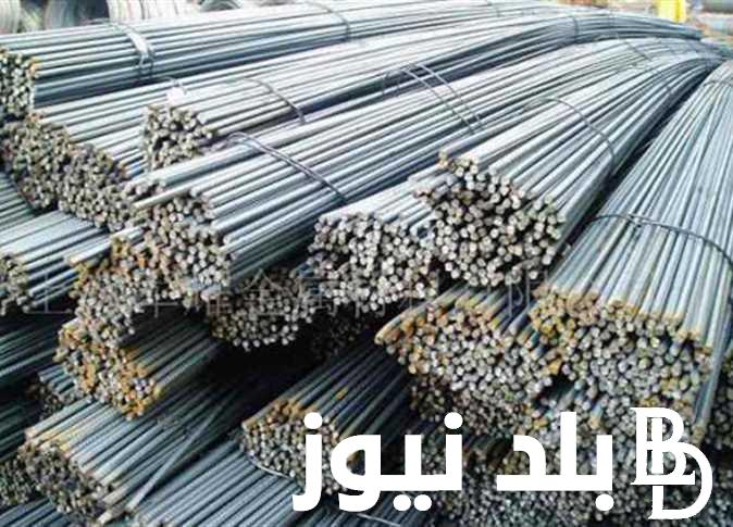 “لو هتبني” سعر طن الحديد اليوم الثلاثاء 30-7-2024 في مختلف الشركات المصرية