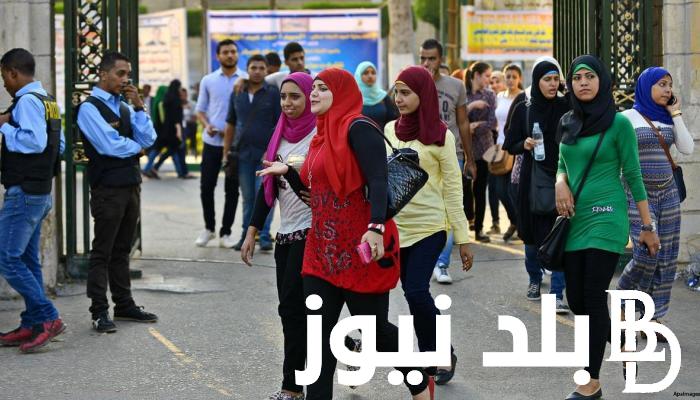 منع الاختلاط في الجامعات 2024-2025 في مصر.. مصدر داخل وزارة التربية والتعليم يجُيب