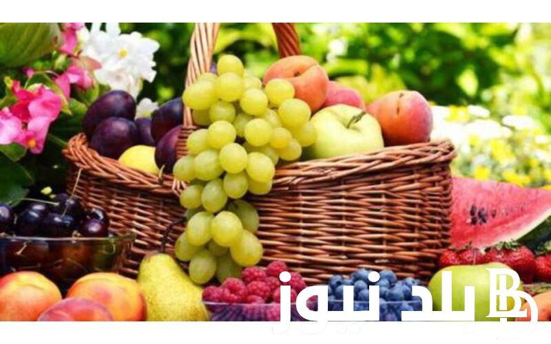 اسعار الفاكهة اليوم في سوق العبور الثلاثاء 30 يوليو 2024 وداخل الاسواق المصرية