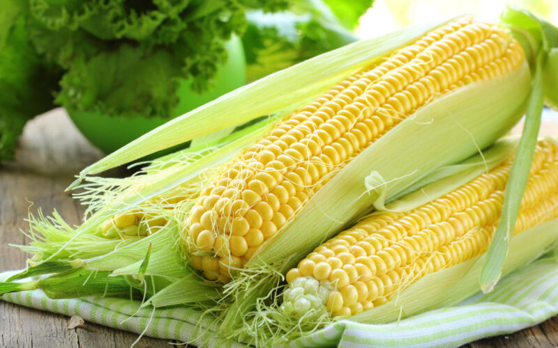 “اشتري قبل الغلاء” سعر طن الذرة الصفراء في مصر السبت 27 يوليو 2024 في السوق المحلي للمستهلك