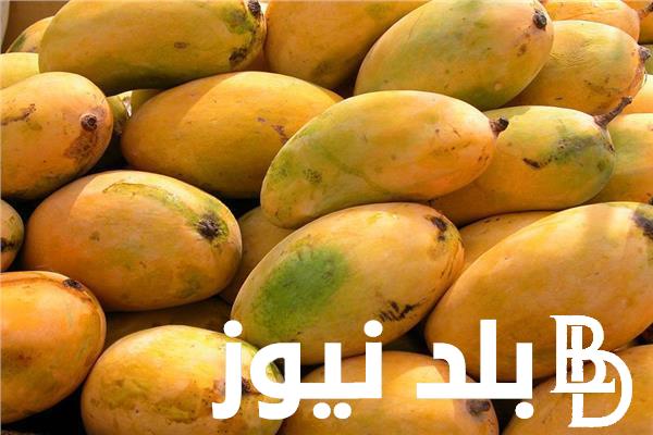 اشتري وخزني.. سعر المانجو اليوم الخميس الموافق 25 يوليو 2024 للمستهلك في الأسواق المصرية