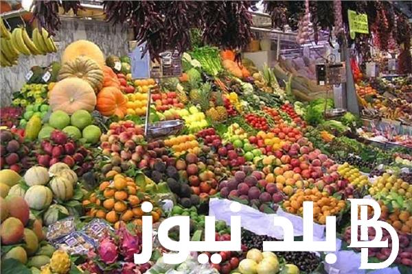 “العنب بكام؟” اسعار الفاكهة في سوق العبور اليوم الاربعاء 31 يوليو 2024 في مصر