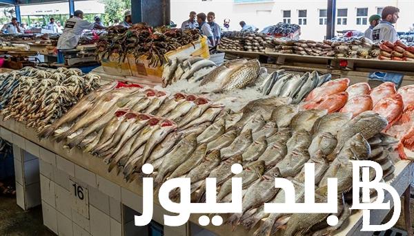 “بلطي و بوري وبربون”.. أسعار السمك اليوم للمستهلك الاربعاء 3 يوليو 2024 في مصر