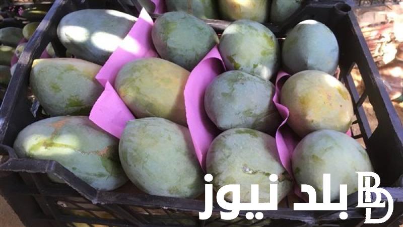 “فص وعويس” اسعار المانجو في سوق العبور اليوم الثلاثاء 30-7-2024.. السكري بـ18