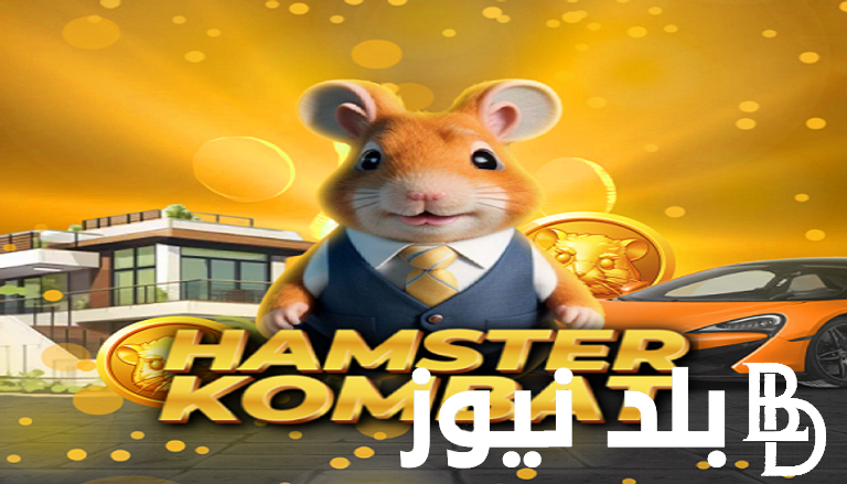 “Hamster Coin” لعبة الهامستر لربح المال وتجميع العملات.. وطريقة سحب الأموال