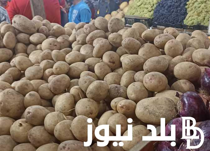 إعرف قبل ما تشتري.. أسعار البطاطس اليوم في سوق العبور الأحد 7 يوليو 2024 للمستهلك في مصر
