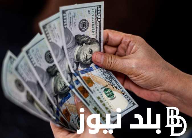 100 دولار إمريكي كم جنيه مصري في السوق؟ سعر الدولار اليوم أمام الجنيه المصري بتاريخ 23 يوليو 2024 وفقاً لأخر التحديثات