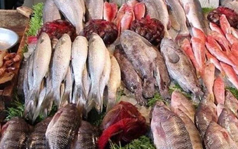 “طازه ومجمد” اسعار السمك اليوم للمستهلك الاحد الموافق 28 يوليو 2024 في سوق العبور