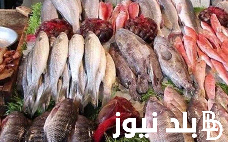 “جميع الأنواع” أسعار السمك اليوم للمستهلك الأحد الموافق 28 يوليو 2024 في سوق العبور