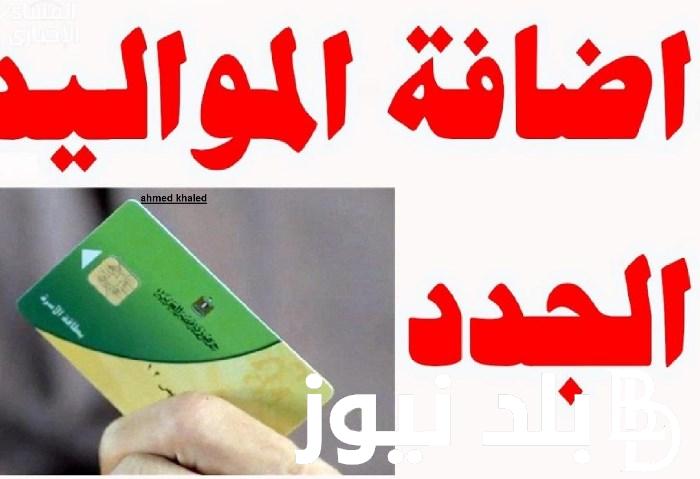 “وزارة التموين تُوضح” خطوات اضافة المواليد الى بطاقة التموين 2024 عبر رابط منصة بوابة مصر الرقمية