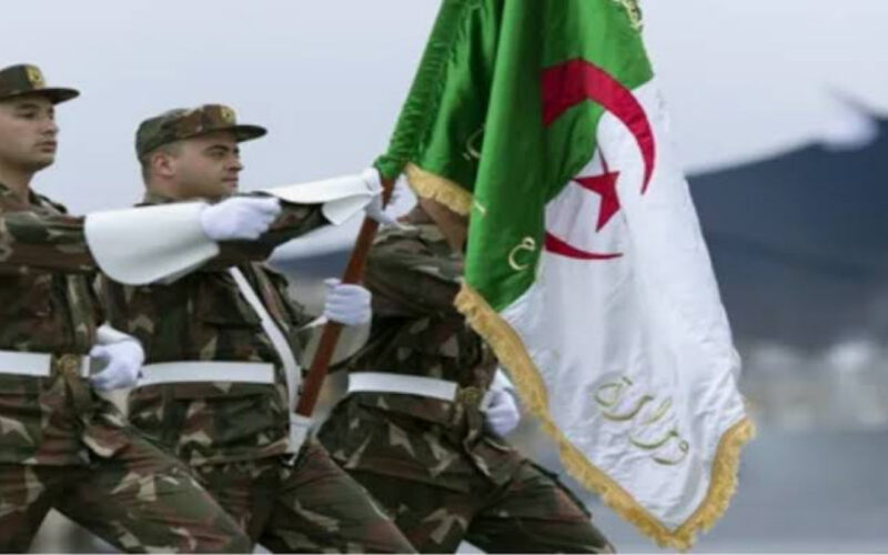 رابط مباشر.. كيف اسجل نفسي في الجيش الوطني في الجزائر 2024؟ وما خطوات التسجيل في صفوف الجيش الوطني الشعبي