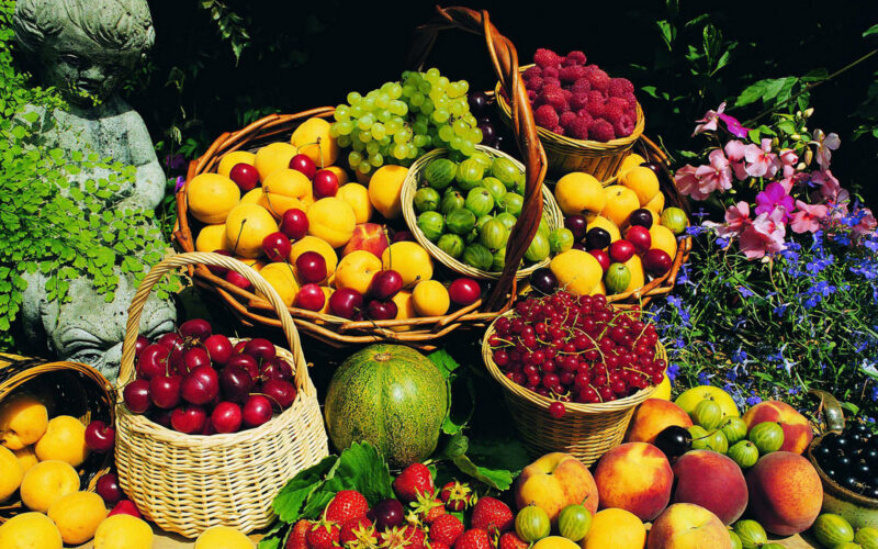 “مانجة وعنب” أسعار الفاكهة اليوم الأحد الموافق 28 يوليو 2024 بجميع الأسواق المصرية للمستهلك