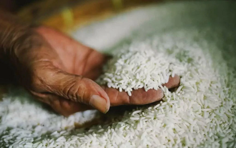 طن الارز بكام؟.. سعر طن الأرز الشعير اليوم الاثنين 22 يوليو 2024 للمستهلك بالسوق المحلي