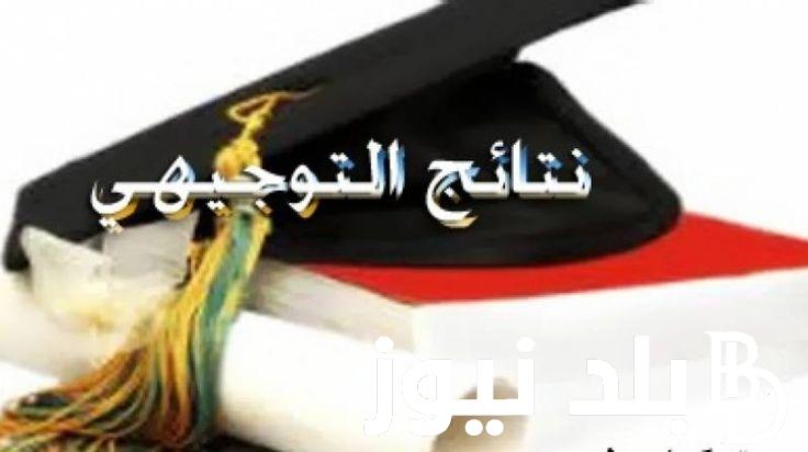 “Link” موقع وزارة التربية والتعليم نتائج توجيهي 2024 في الأردن الاستعلام عبر tawjihi.jo