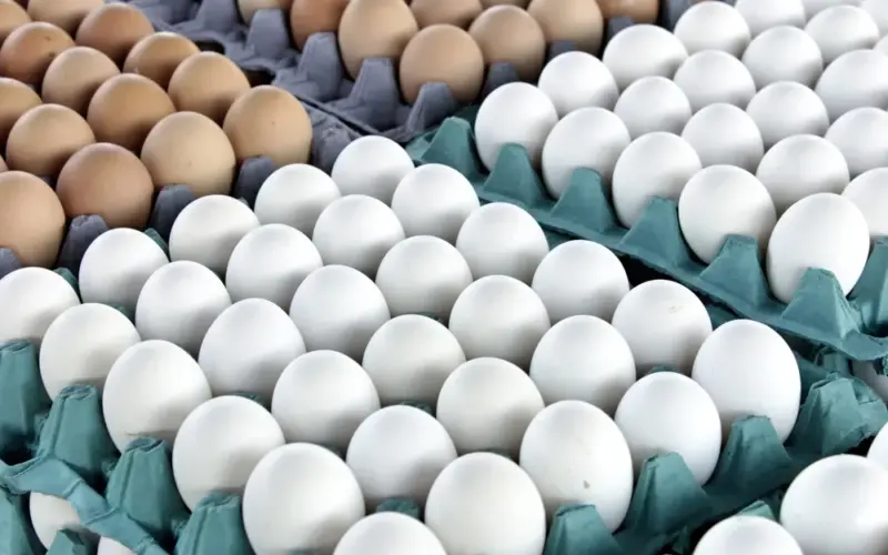 “البيضة بكام”.. سعر كرتونة البيض اليوم للمستهلك الإثنين 22-7-2024 والسعر في البورصة