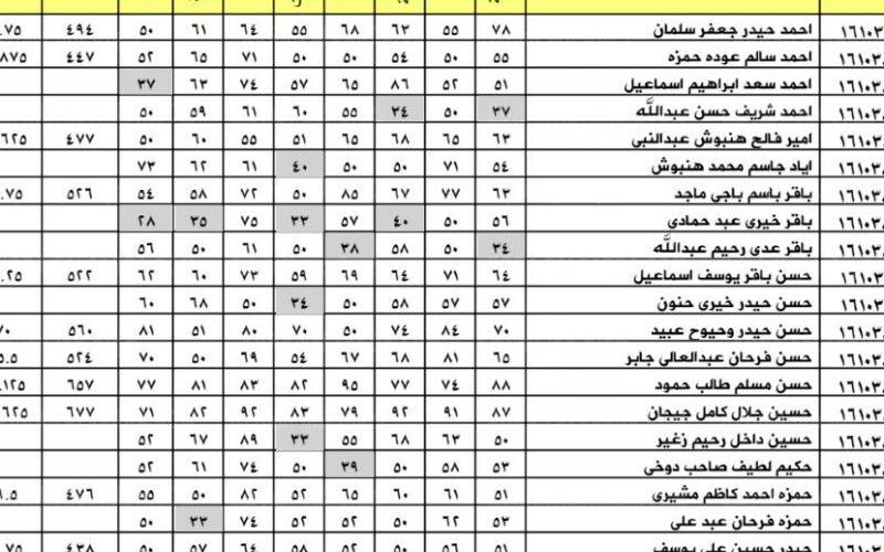 الان نتائج السادس الاعدادي 2024 دور اول من موقع وزارة التربية والتعليم العراقية برابط شغال