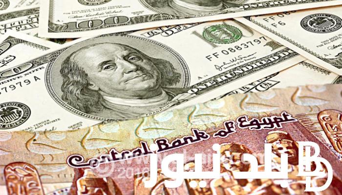 ارتفاع في أسعار الدولار مقابل الجنيه المصري في البنوك والسوق السوداء بتاريخ الأحد 28-7-2024