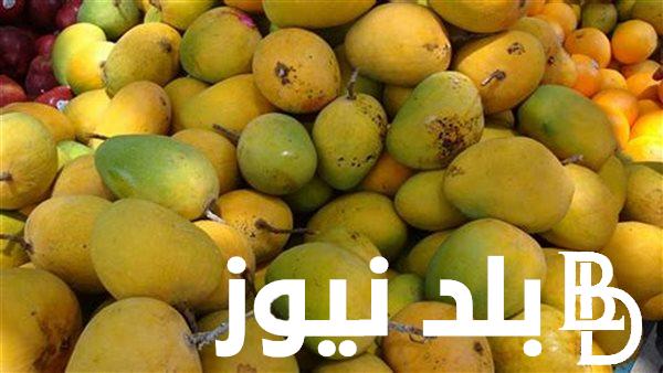 اسعار المانجو سوق العبور اليوم السبت 27 يوليو 2024 للمستهلك في مصر