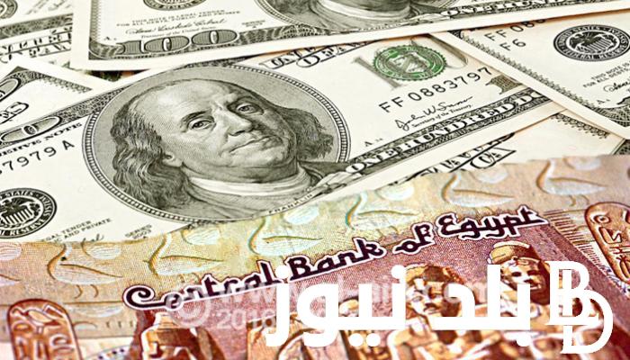 تحديث لحظى.. 100 دولار كم جنيه مصري اليوم الاثنين الموافق 29 يوليو 2024 في السوق السوداء وفي البنوك المصرية