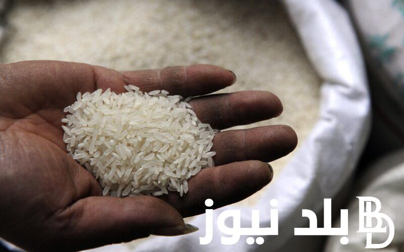 “الأبيض بكام النهاردة” سعر طن الأرز الشعير اليوم الأحد 14 يوليو 2024 فى الأسواق المصرية
