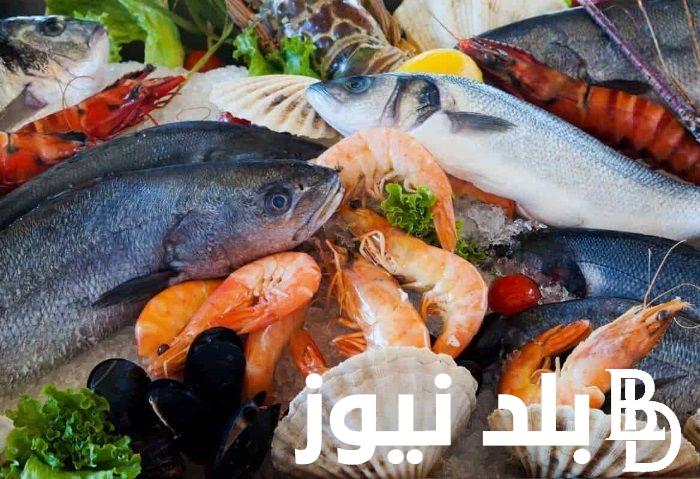 “كل الاصناف” اسعار السمك اليوم السيت 20-7-2024 في الاسواق والمحلات للمستهلك