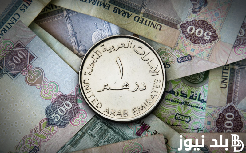 انخفاااض سعر الدرهم الاماراتي اليوم في السوق السوداء بتاريخ 12 يوليو 2024 مقابل الجنيه المصري