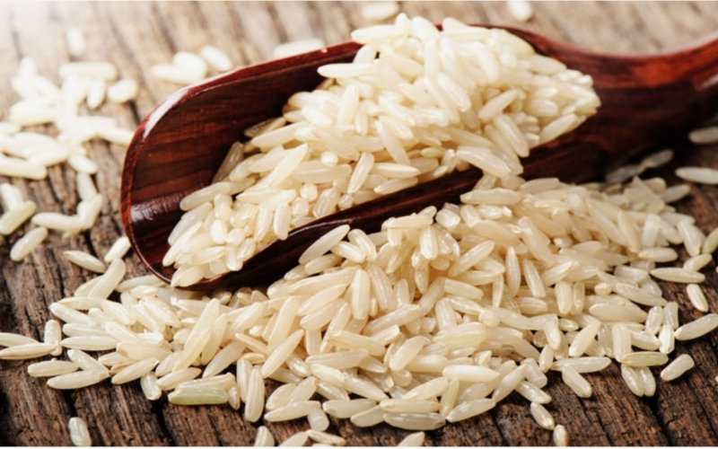 الــطن بكـام! سعر طن الأرز الشعير اليوم الاحد 21 يوليو 2024 في مصر بكافة انواعه