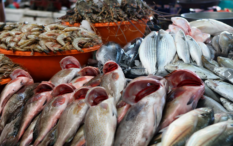 “بوري، وبلطي، ومكرونه” اسعار السمك اليوم الاربعاء 24 يوليو 2024 في سوق العبور للجمله