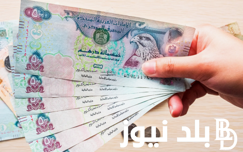 سعر الدرهم الاماراتي اليوم في السوق السوداء الثلاثاء 30 يوليو 2024 مقابل الجنية المصري