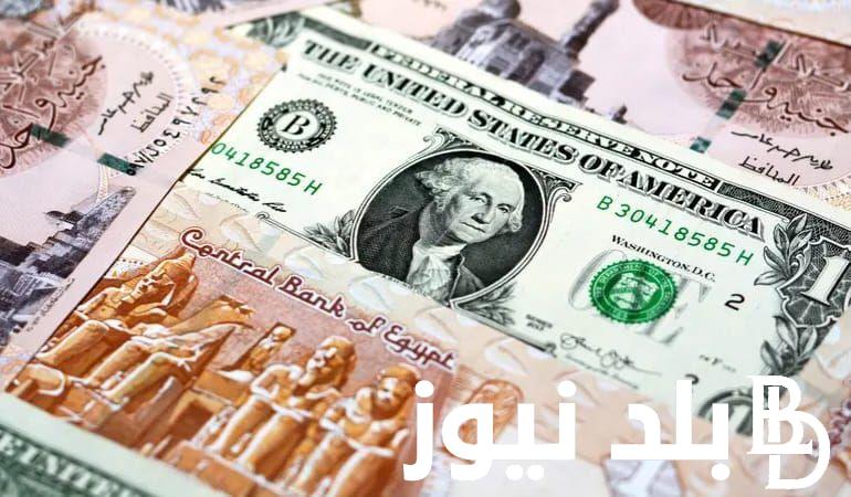استقرار سعر الدولار اليوم مقابل الجنيه المصري بتاريخ الاربعاء 31 يوليو 2024 في البنوك المصرية