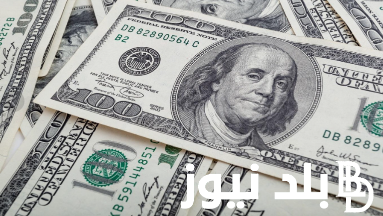 مباشر لحظة بلحظة.. سعر الدولار اليوم في السوق السوداء الاربعاء الموافق 31 يوليو 2024 وفي البنوك المصرية
