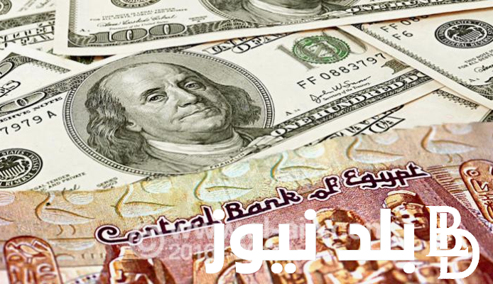 100 دولار كم جنيه مصري في السوق السوداء وفي البنوك المصرية اليوم الاثنين الموافق 22 يوليو 2024