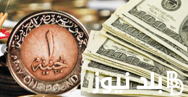 100 دولار كم جنيه مصري في السوق السوداء اليوم الخميس بتاريخ  25 يوليو 2024 وفي البنوك المصرية