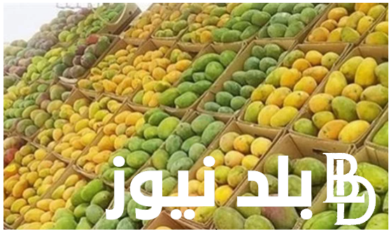“الكيلو بكام ” أسعار المانجو اليوم الاثنين الموافق 15 يوليو 2024 للمستهلك في الاسواق المصرية