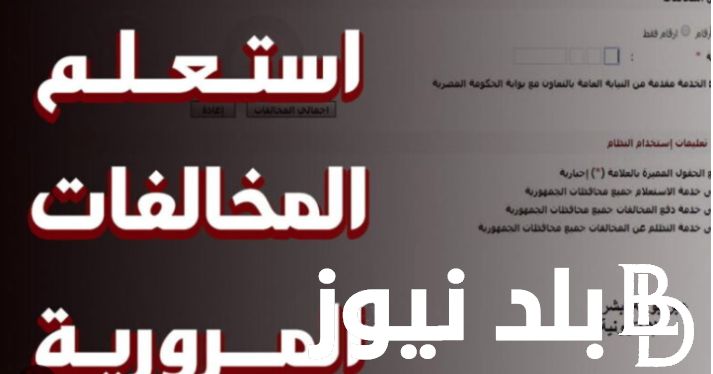 “سدد مخالفاتك” استعلام مخالفات المرور برقم السيارة في مصر لجميع المحافظات وكيفية الدفع إلكترونيًا