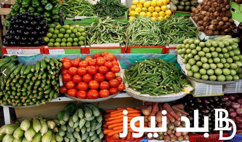 كم سعر الخيار اليوم؟.. جدول أسعار الخضار اليوم الاربعاء 31 يوليو 2024 للمُستهلك في مصر