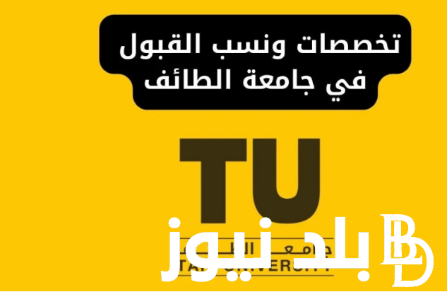 ما هي نسب القبول في جامعة الطائف 1446 بالسعودية والتخصصات المطلوبة بالجامعة